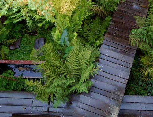 Jardin urbain qui va bien